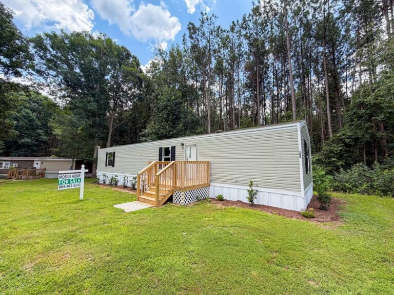 Pelzer, Greer SC neighborhood setting, move in ready homes Upstate, streetscape, neighborhood