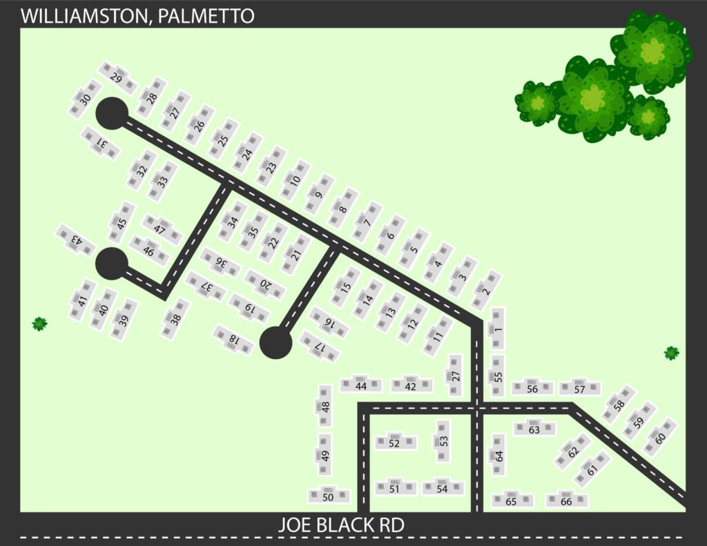 Map of Williamston, Palmetto lot layout with numbered sites along roads off Joe Black Road